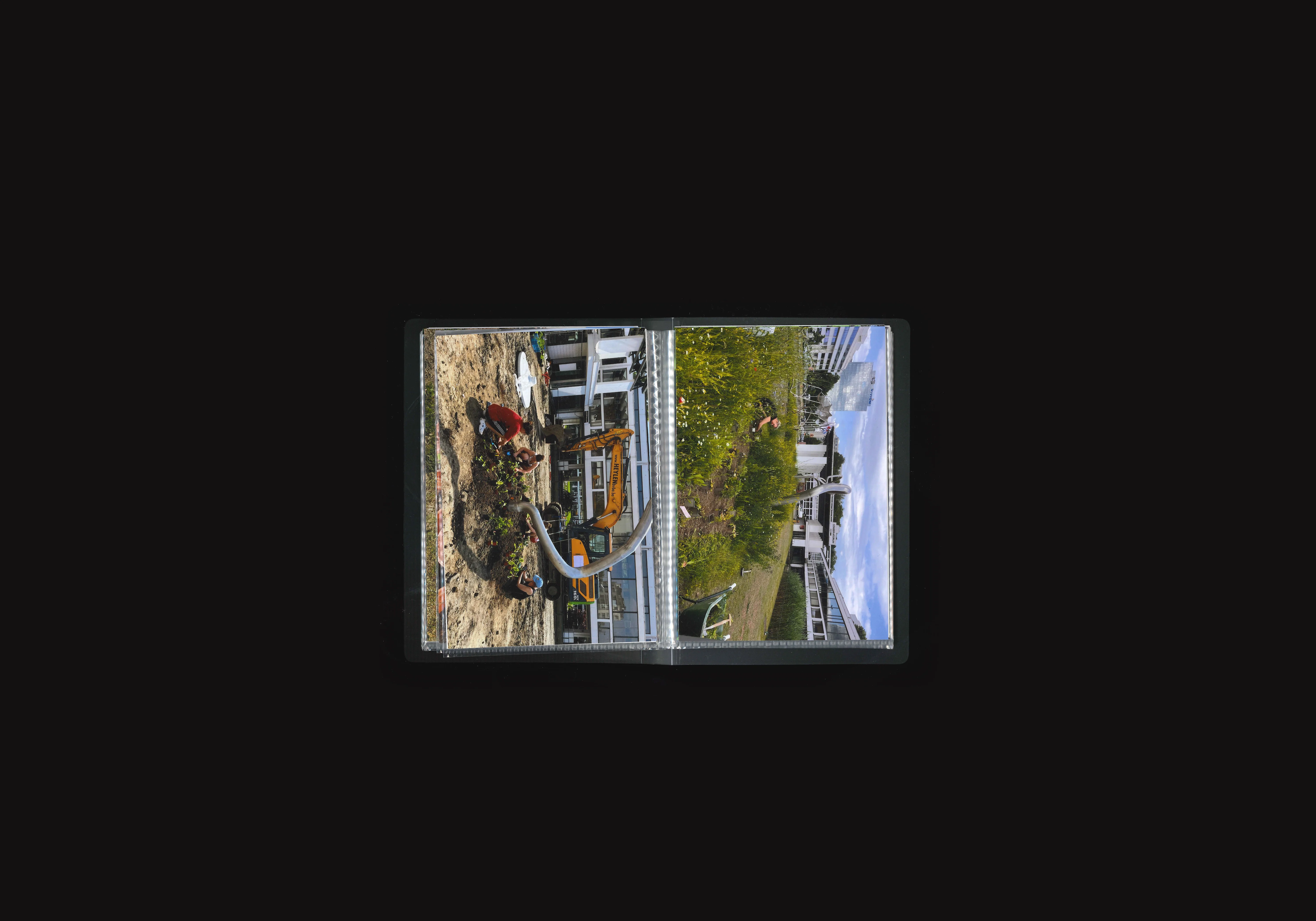 Place to Grow,image 3